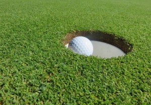 Close-up of Flagler County FL golf course hole